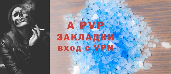 соль ск Алексин